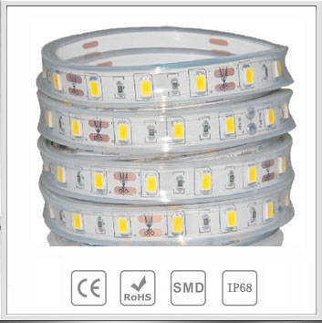 LED Strips lights