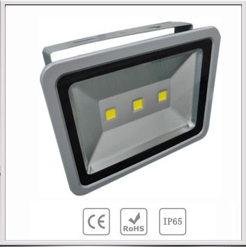 LED Floodlights